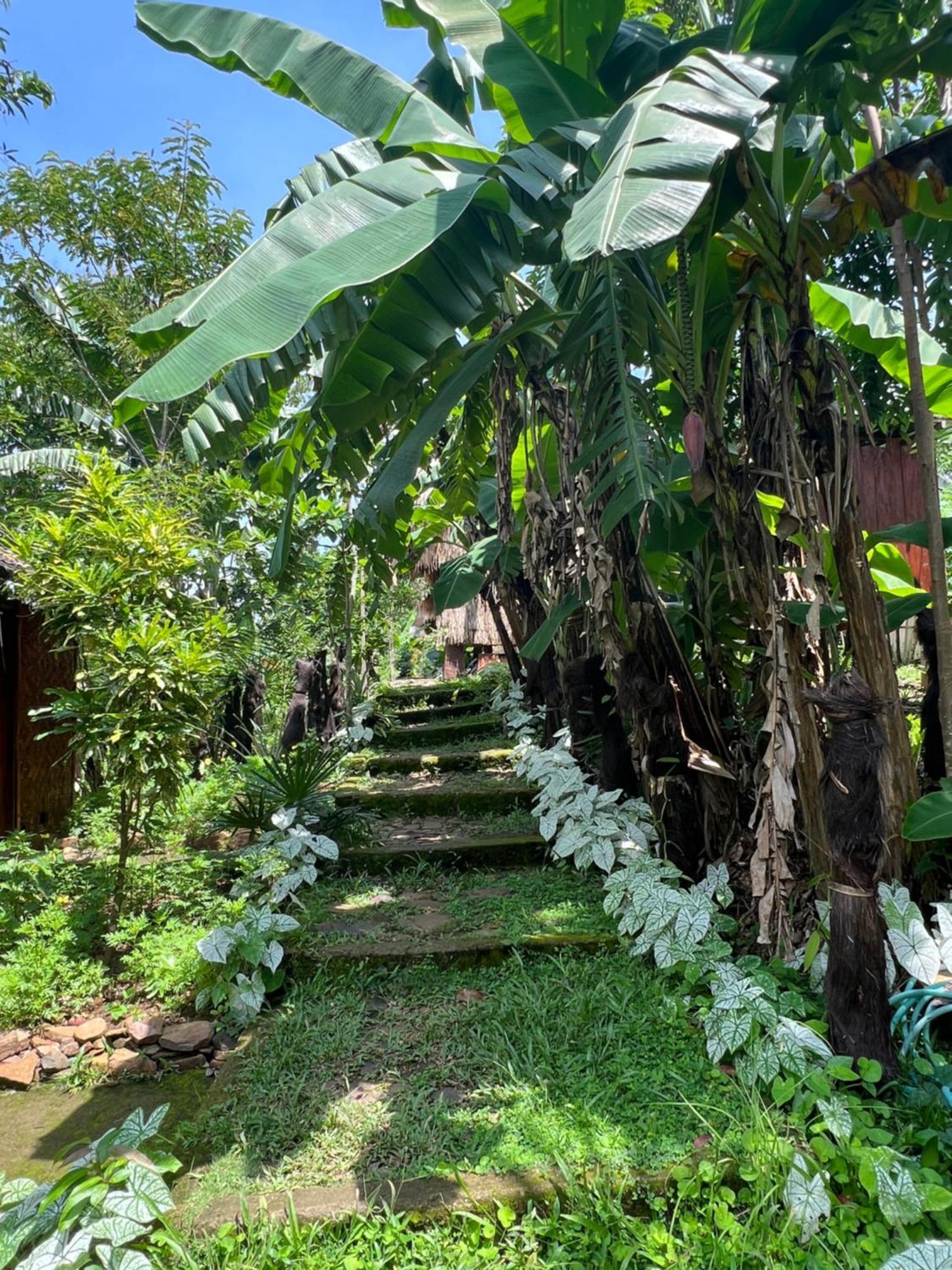 Sten Lodge eco Homestay Labuan Bajo Exterior foto