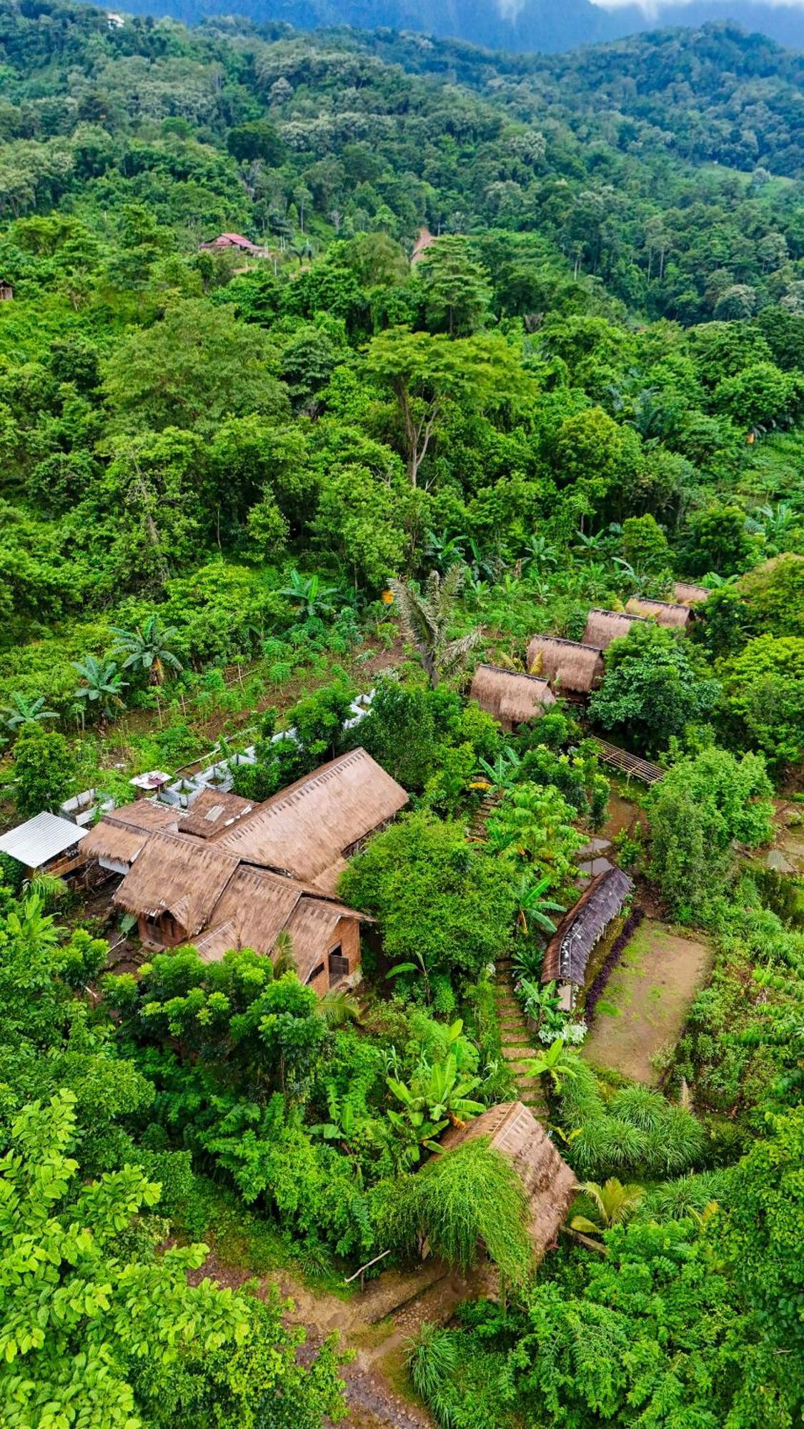 Sten Lodge eco Homestay Labuan Bajo Exterior foto